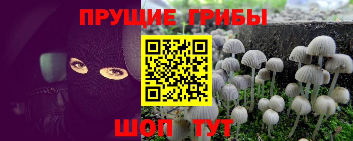 Каменск-Уральский  Галлюциногенные грибы мухоморы  Вход с VPN  Галлюциногенные грибы Cubensis 